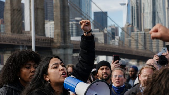 New York Elections: The Impact of Rising Progressive Voices | 4dtante 1, ratubola303, data lengkap s