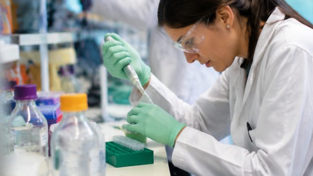 University of Miami Secures Funding for Groundbreaking Pain Research | fluffy favourites jackpot, li