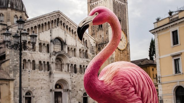 Parma Embraces Its Quirky Pink Flamingo Identity | best blackjack online gambling, bob sinclar, berl