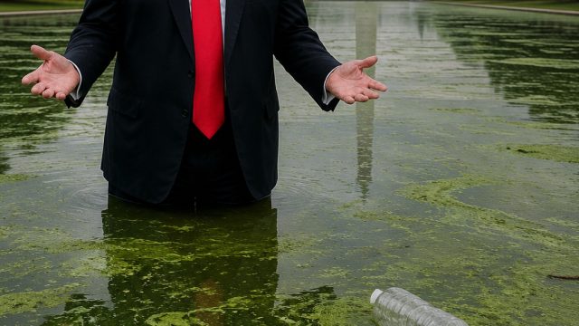 Trump's Algae Crisis: Implications Beyond the Reflecting Pool | fabregas arsenal, pestivalqq