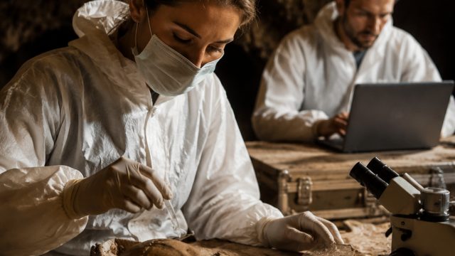 Unveiling Ancient Human DNA: A Breakthrough in Cave Studies | kawa kawa hijau harga, pkv games gaple